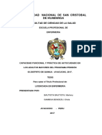 Tesis - Capacidad Funcional y Práctica de Autocuidado en Los Adultos Mayores