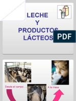 5 Productos Lacteos