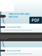 Tema 2 Prevención Del Delito