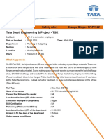 Orange Stripe # 57 English