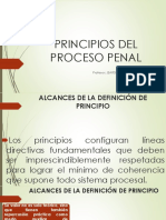 Principios Procesales