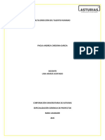 Caso Práctico U1 C2 Alta Dirección