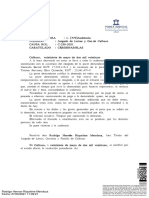 2.-Modelo Audiencia Conciliacion y Prueba