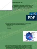 Genetica Molecular