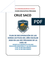 Cruz Saco - Plan de Recuperación 2020