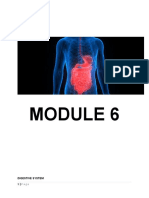 Digestive System 1