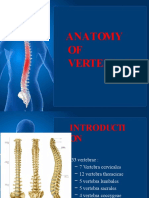 Anatomy of Vertebrae