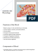 Blood Anatomy and Physiology