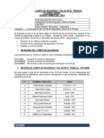 Informe Comite de Seguridad