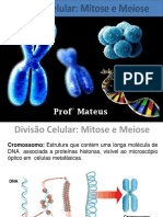 Mitose e Meiose 1° Ano