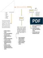 Fases de La Auditoria-Mapa