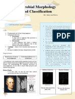 Microbial Taxonomy and Classification