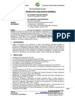 Informe Técnico #013 - 2020