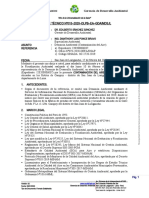 Informe Técnico #015 - 2020