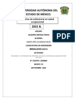 Funciones y Actividades Del Personal de Salud Ocupacional Basado en Nom 030 STPS