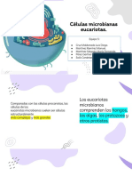 5) Celulas - Microbianas - Eucariotas