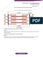 Ncert Feb2021 Solutions For Class 11 Biology Chapter 20