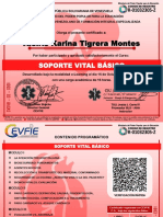 Certificado Soporte Vital Basico II