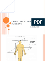 Ostéologie Du Membre Supérieur