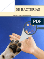 Atlas de Bacterias