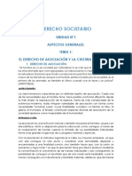 Derecho Societario Actual