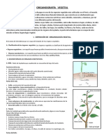 Organografia Vegetal Info Leer