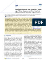 Comparing Immobilized Kinase Inhibitors and Covalent ATP Probes For Proteomic Profiling of Kinase Expression and Drug Selectivity.