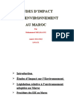 Etude D'impact Sur L'evironnement Au Maroc