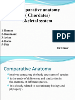 Comparative Anatomy: (Chordates) Skeletal System