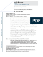 Role Nutrition and Brain Development in Firat 1000 Day