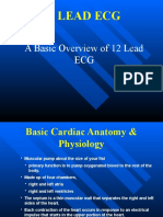 12 Lead Ecg or Ekg