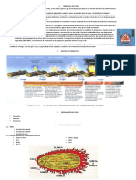 Forestal Imprimir 1