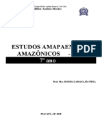 7 Ano Completo - História Brasil