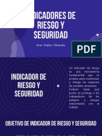 Indicadores de Riesgo y Seguridad