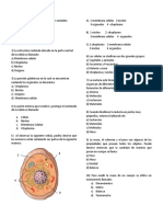 Pruebas Saber - Naturales 4