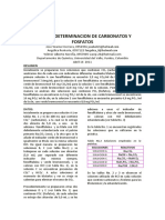 Carbonatos y Fosfatos Informe 0956956