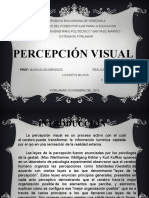 Percepcion Visual