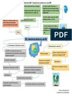 Mapa Mental - (Semana 5 - Mary Luz Donado Rivera) NIIF 1