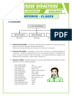 Clases de Mamíferos para Segundo de Secundaria