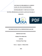 Pautas para Informe Final - DE PRÁCTICAS