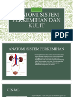 Anatomi Sistem Perkemihan Dan Kulit