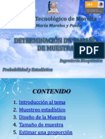 Determinacion de Tamaño de Muestra