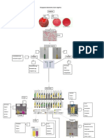Fluxograma Bastonetes Gram Negativo