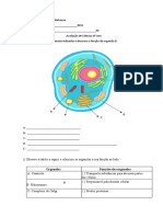 Prova 6 Ano Ciências Células