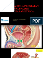 Anatomia de La Prostata