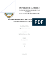 Monografia - Los Derechos Sociales en Perú. Angela Cruzado