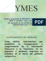 Diseño de Reportes Financieros en Las PYMES