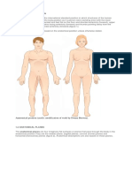 Lesson 1 - The Human Body - 1 - Anatomical Planes