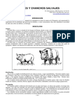 18-Jabalies y Chanchos Salvajes