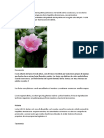 Tarea Biologia Flores